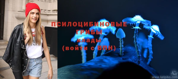 меф Ладушкин