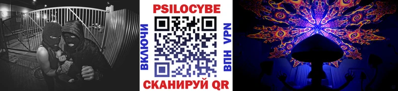 Псилоцибиновые грибы мицелий купить сайты Юрьевец